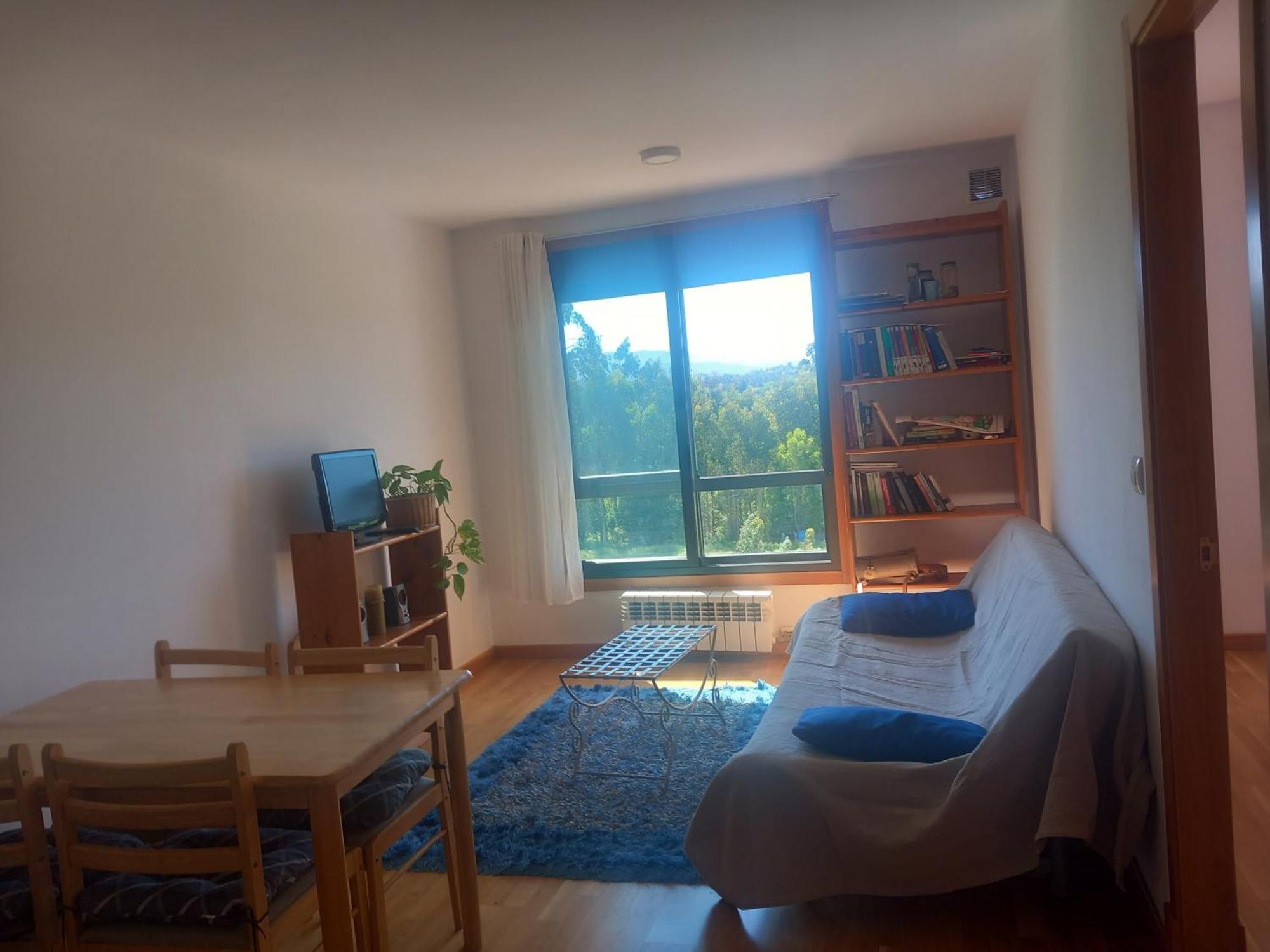 Apartamento Centrico Salvaterra Apartment Salvatierra de Mino Ruang foto
